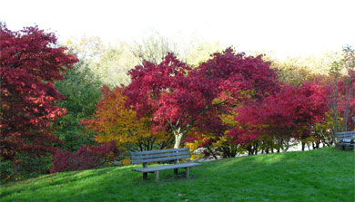 Pagoetako Parke Naturala